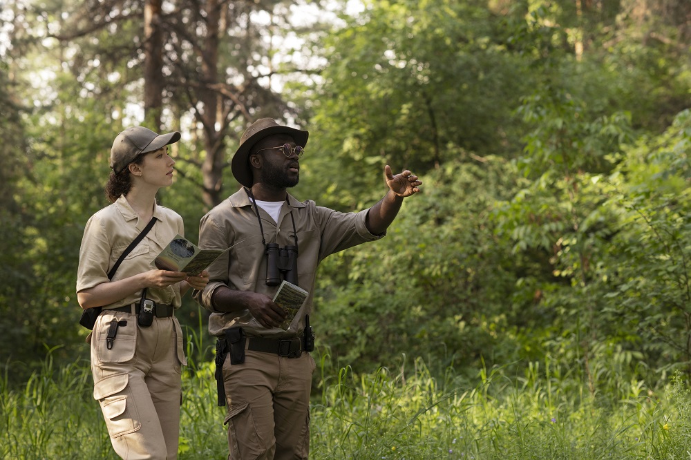medium shot forest wardens nature